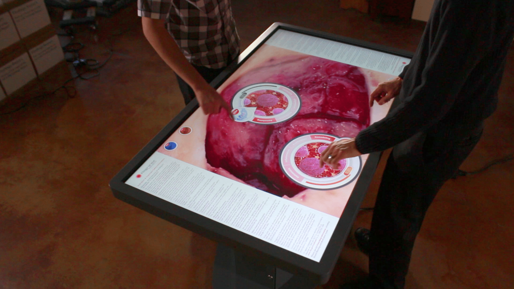 Multi-Touch Tables